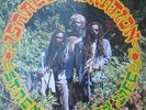 LP / ISRAEL VIBRATION / STRENGTH OF MY LIFE