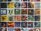 PEARL JAM - NO CODE RARE ORIG 1996 LP w/ FOLDOUT COVER + ALL INSERTS - NM COND