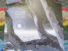 COIL - Musick to Play in the Dark 2 -  DBLE LP - WHITE VINYL