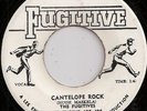 THE FUGITIVES / CANTELOPE ROCK / LISTEN