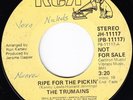70s Soul 45 - Trumains 