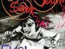 Sonic Youth EVOL LP SEALED SST No barcode Nirvana KBD The Misfits