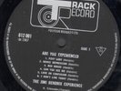 JIMI HENDRIX EXPERIENCE are you experienced LP 11 trk mono pressing matrix a1/b1