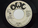 Rare 70s Soul 45 WEE Try Me on Owl