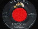 Elvis 