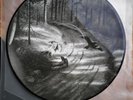 Varg Vikerness - Hvis Lyset tar oss - rare Picture LP Norway Black Metal