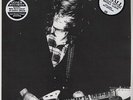 Ty Segall Singles 2007-2010 2x Vinyl LP Record not cd thee oh sees/gories songs