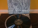 KLAUS KINSKI spricht STRINDBERG  AMADEO AVRS 1038 LP TOP MINT RAR