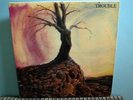 TROUBLE  self titled  LP