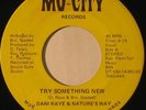 DANI RAYE Try Something New RARE DETROIT MODERN SOUL/FUNK 45 mp3