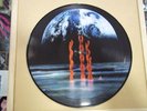 IN FLAMES “LUNAR STRAIN” LIMITED EDITION PICTURE LP