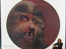 WARREN ZEVON Werewolves Of London SEALED 12