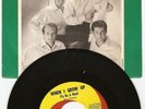PICTURE SLEEVE + 45- THE BEACH BOYS-