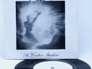 TIAMAT -A Winter Shadow 7