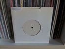 Animal Collective - Polly / Purple Bottle (RARE Vinyl 7