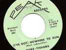 PRIVATE 1960s MN Garage 45 - THE MORE-TISHANS 
