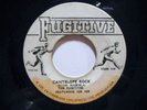 FUGITIVES & JOE JOE jamaica 45 CANTELOPE ROCK/THE LECTURE 7