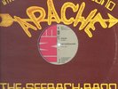 THE SEEBACH BAND apache RARE SWEDISH DISCO 12