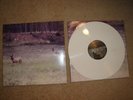 Seahaven - Ghost 12