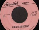 Rare 60's Detroit Northern Soul 45 - THE PARLIAMENTS (Revilot)  #228