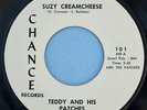 TEDDY & His PATCHES 45 Suzy Creamcheese ORIGINAL RARE 1967 VG++ Garage PSYCH