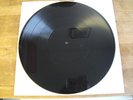 VIVES DUBPLATE - 6 NEXT CUTS TO DANDY LION ON A 12