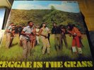 Reggae In The Grass-Trojan lp-Mint-