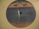 THE ARMED GANG/ALL I WANT/DISCO FUNK/MAXI 33 T/USA PRESS