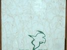 LEWIS & VESEY: Breaking Camouflage LP private SSW folk soft mp3
