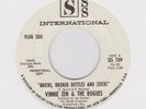 VINNIE ZEN & THE ROGUES - BRICKS, BROKEN BOTTLES & STICKS - SSS INT. WHITE DEMO