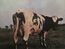 AUDIOPHILE MFSL 1-202 PINK FLOYD Atom Heart Mother SS