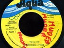 Hopeton Lindo - Tribute JA orig 45 ??