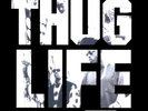 Thug Life - Volume 1 LP HIP HOP WESTCOAST UNDERGROUND RAP VINYL CLASSIC 2PAC
