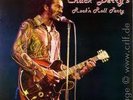 Chuck Berry  -Chuck Berry´s Rock´n´Roll Party - C 7788 (+  Flying Saucers)