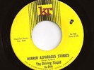 DRIVING STUPID horror asparagus stories 60s psych FREAKBEAT garage HEAR