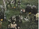 SUPER GRUPOS - RARE SPAIN LP 1970 LED ZEPPELIN MC5 SCREMAING LORD SUTCH  CACTUS