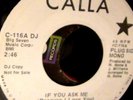 Jerry Williams WLP PROMO 45 If You Ask Me/Yvonne NM CALLA MONO DJ 1973 NORTHERN