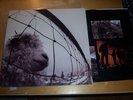 PEARL JAM, vs, Orig. LP 1993, G/F, N/M