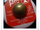Gene Ricky What You Wanted RARE SOUL MOD GARAGE HEAR 45