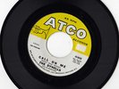 THE DYNELLS---CALL ON ME---ATCO