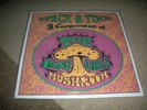 ORANGE ALABASTER MUSHROOM - SPACE AND TIME - RARE LP  PSYCH EARWORM 2000