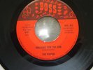 Florida garage band The Ravens 45 record, 