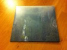 Wolves In The Throne Room Vinyl Diadem Of 12 Stars