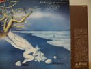 LOCANDA DELLE FATE / FORCE LE LUCCIOLE - Japan G/F LP