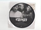 BLINK-182 Feeling This  Rare Picture 7