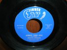 Funk - PERVIS HERDER - Honkey Tonk Junk