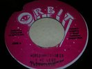 ENOS McCLOUD World In His Hands ORBIT ROOTS 45