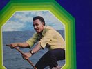 ++ DERRICK HARRIOT SINGS JAMAICA REGGAE LP on PAMA ++