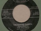 Accents Enchanted garden/Tell me now Mercury 72154 popcorn northern 45