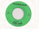 LANNY HUNT : Suzie Q / Stay (Panorama 42) Original NW Garage Mod Soul 45 LISTEN